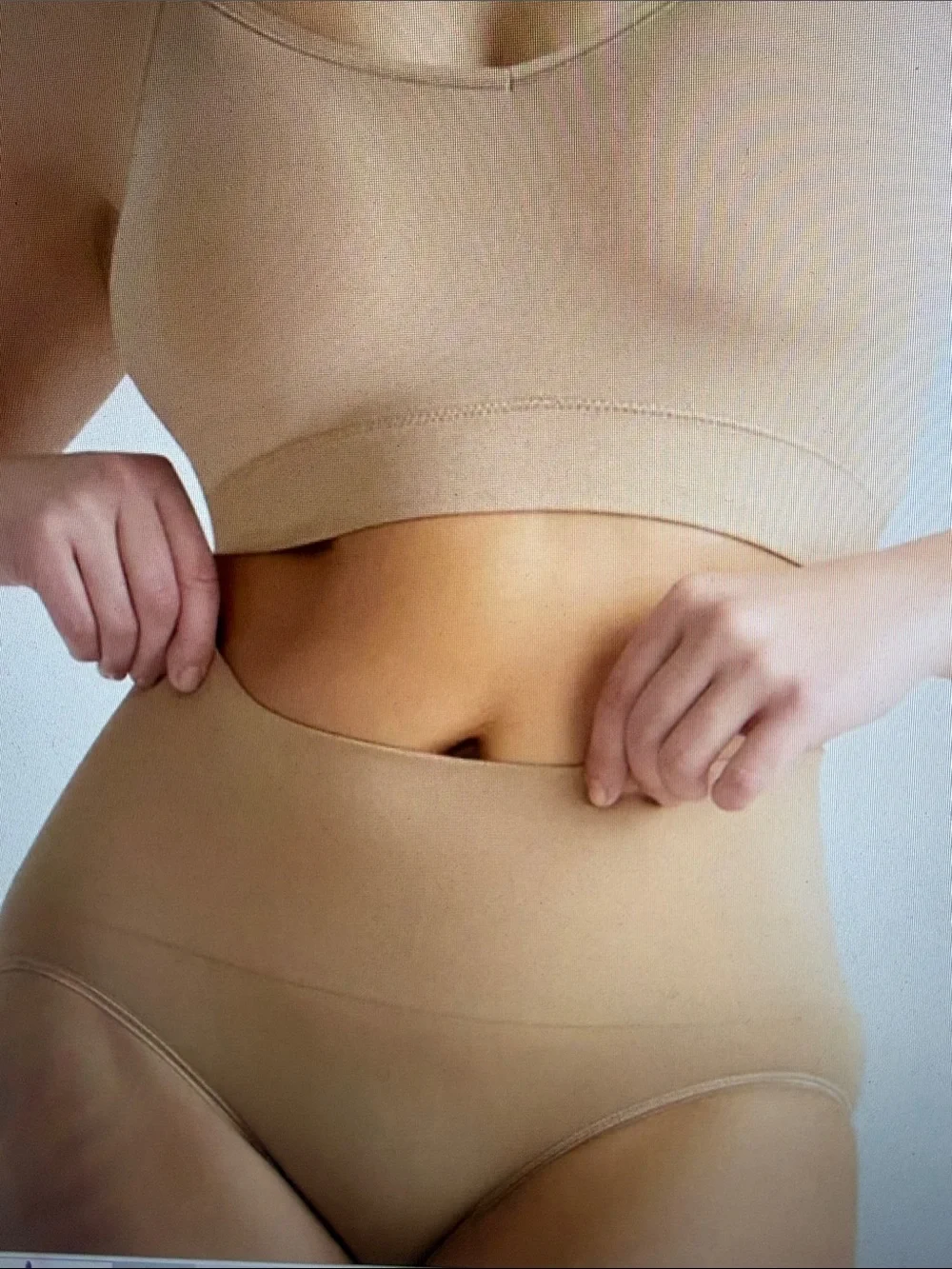 NWT 2Pk Yummie Ultralight Shaping Seamless Brief Almond & Oregon Grape L/XL